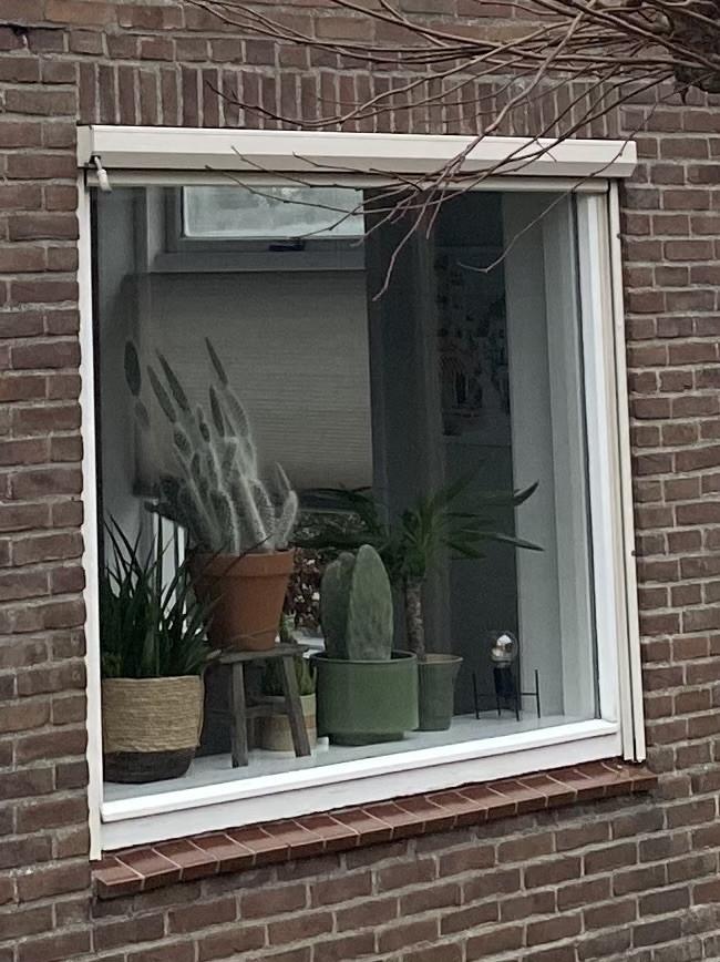 Zonnescherm / screen