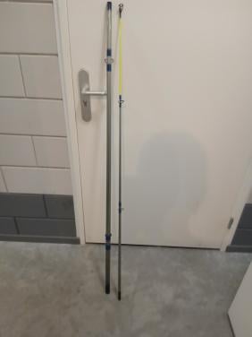 Zeehengel met molen