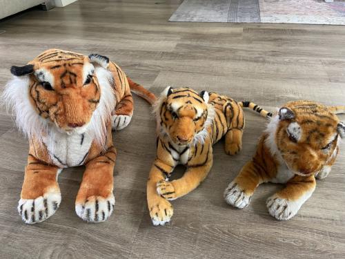 3 mooie pluche tijgers