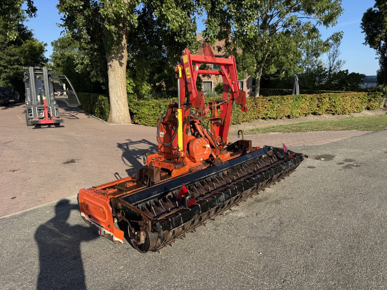 Maschio roterkopheg
