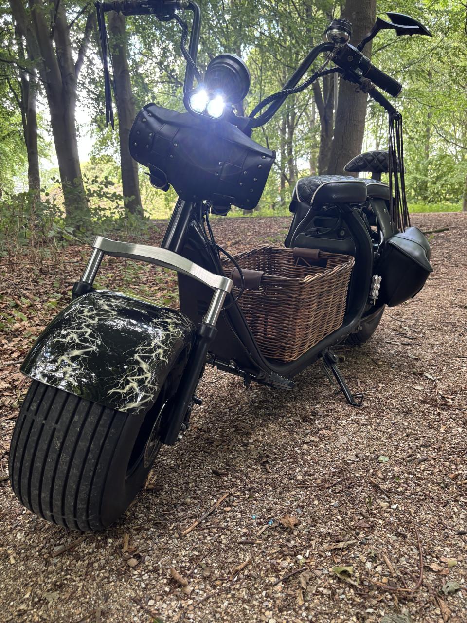 Ecruiser x1