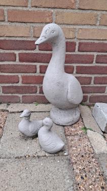 Tuinbeeld