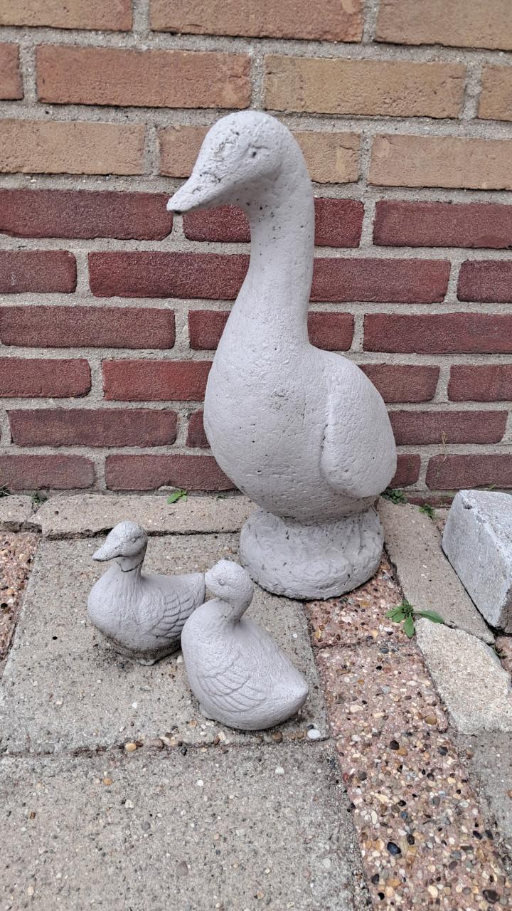 Tuinbeeld