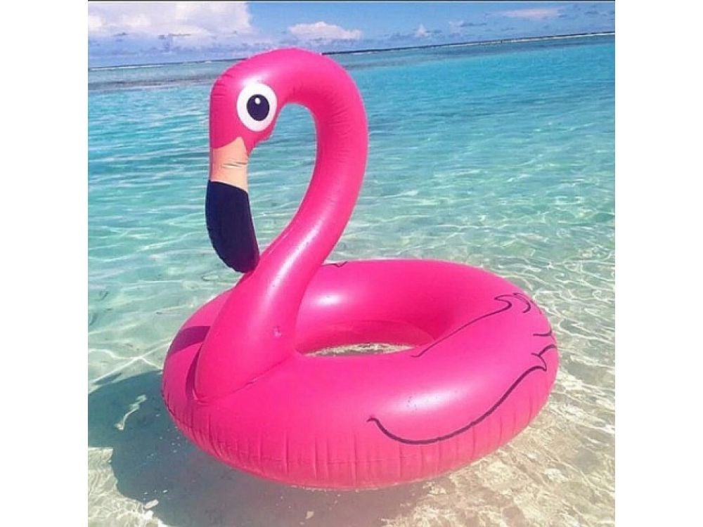 Flamingo zwemband 120 cm