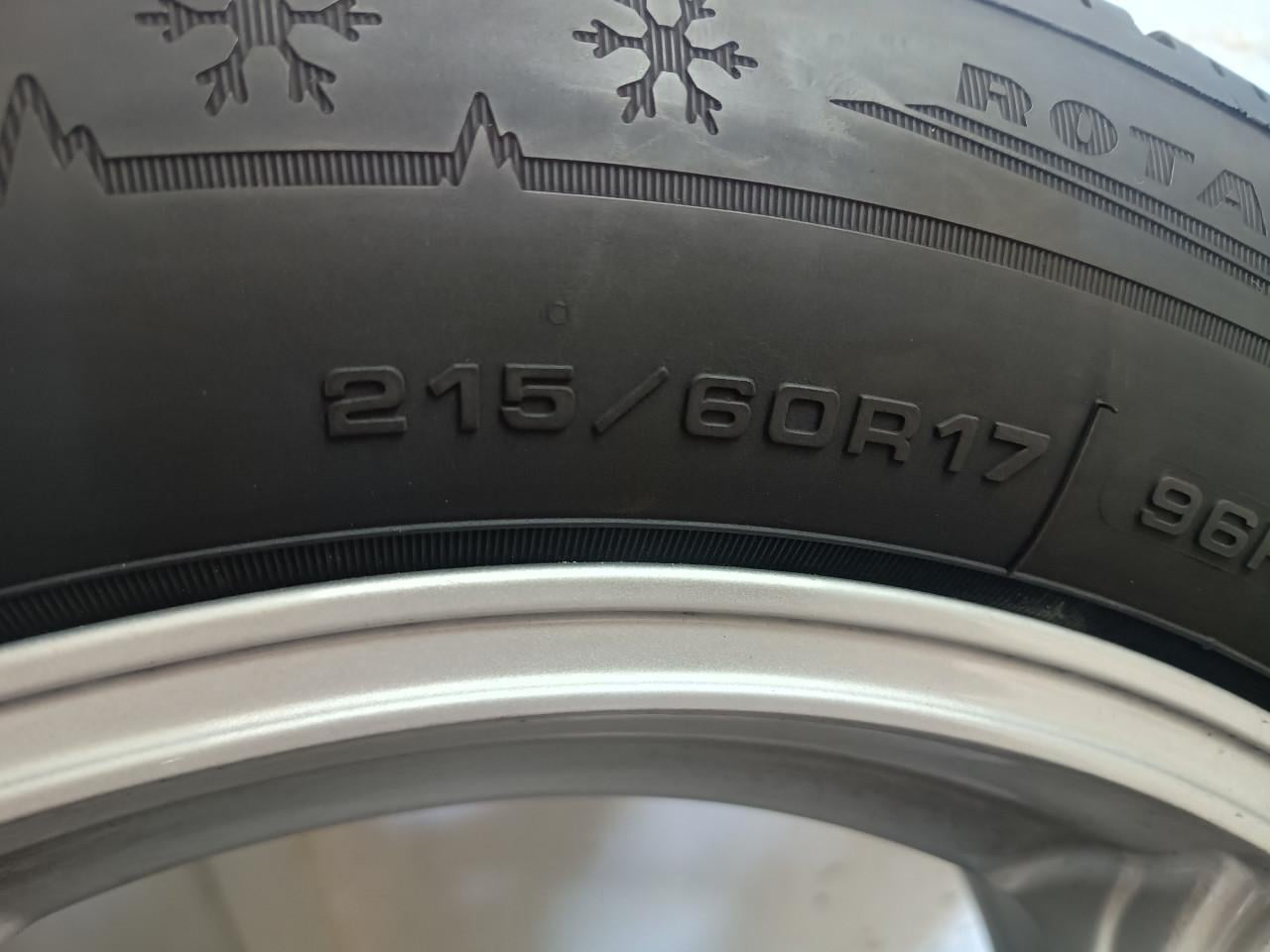 Velgen met winterbanden