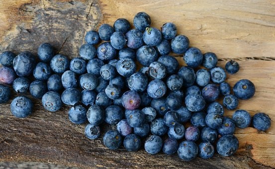 Biologisch groente/fruit/bloemen kweken in Middelburg