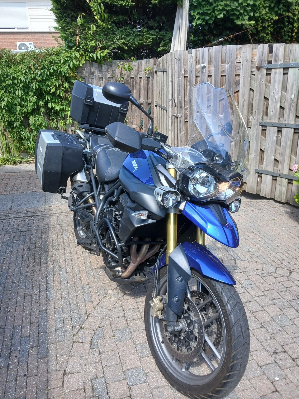 Triumph tiger 800