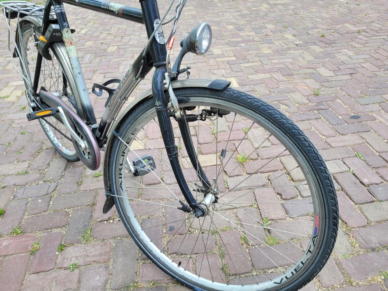 Fiets Gazelle Bahia