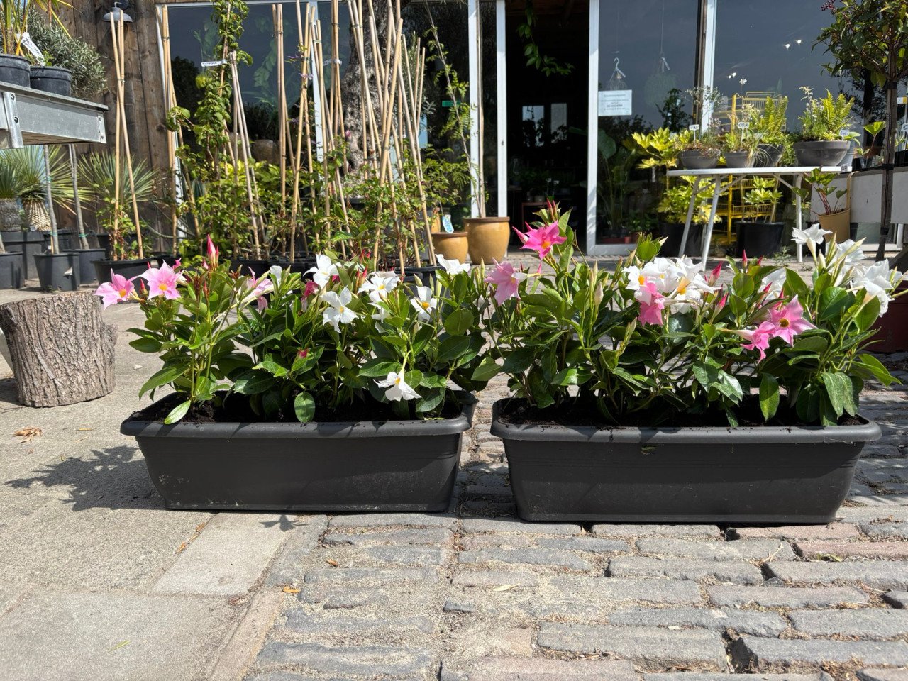 AANGEPASTE OPENINGSTIJDEN + zomerkorting -30 %