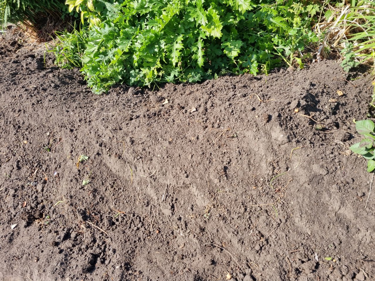 Grond, GRATIS, goede schone tuinaarde