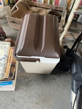 Koelbox met diverse thermoskannen