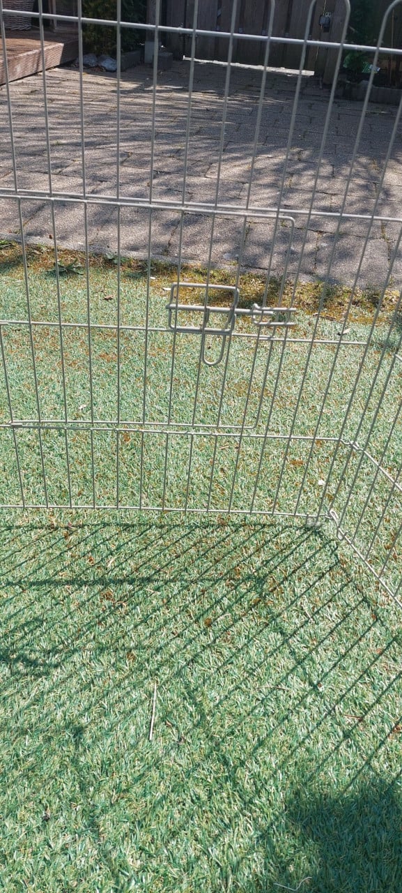 Buitenren voor (huis)dieren