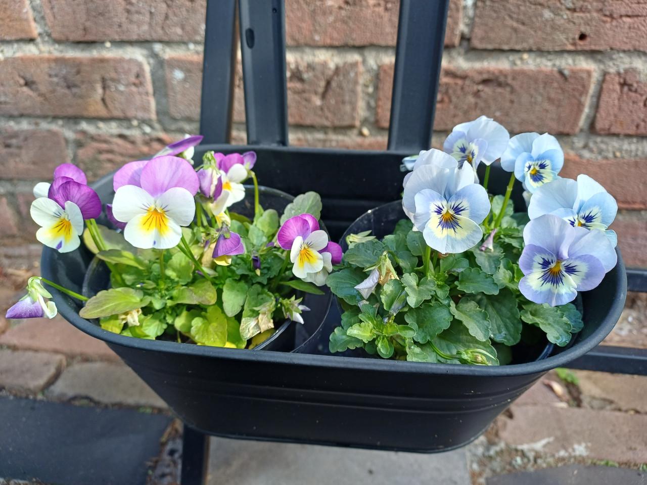 ZIN in het VOORJAAR? PLANTENREK met 3 BLOEMBAKKEN (metaal)