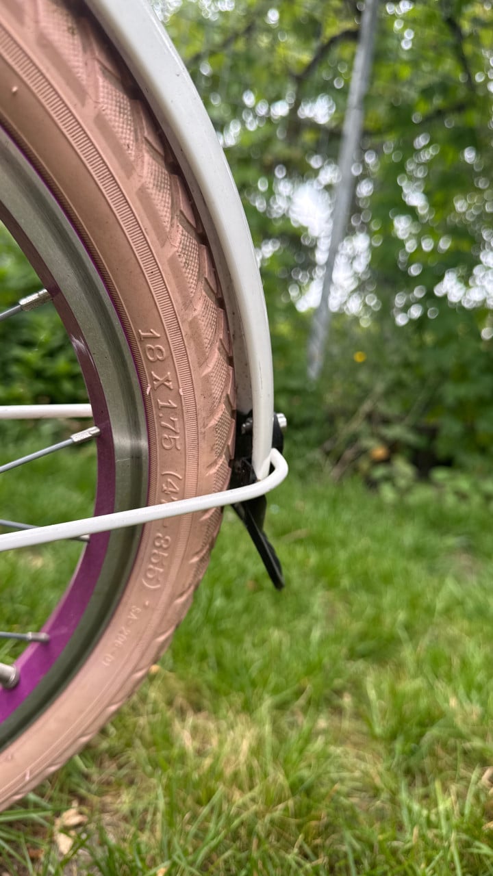 Meidenfiets 18 inch Alpina