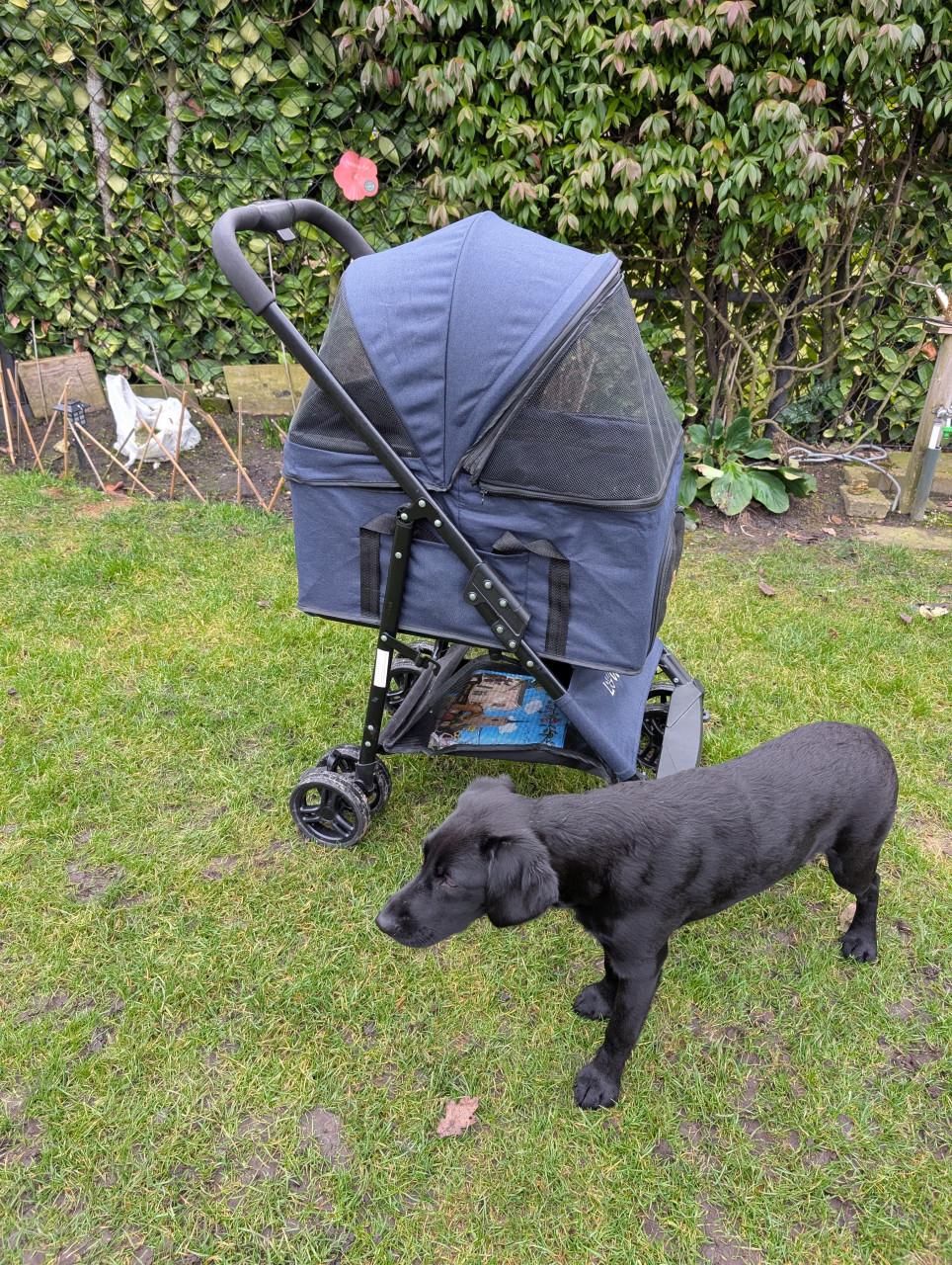 Lovpet honden buggy