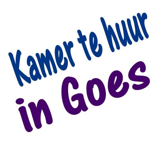 Kamer te huur in centrum Goes