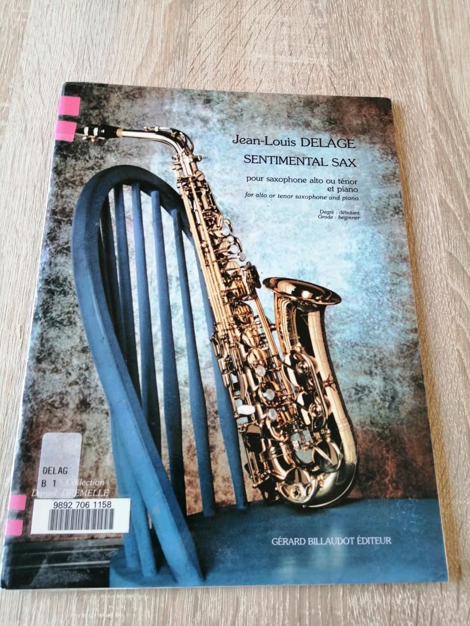 Diverse muziek lesboeken