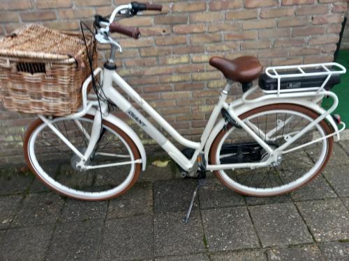 Giant triple x elektrische damesfiets