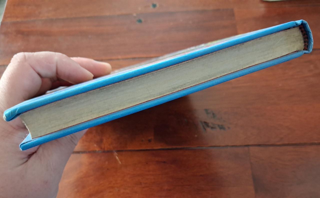 Strijd om een paard - kinderboek