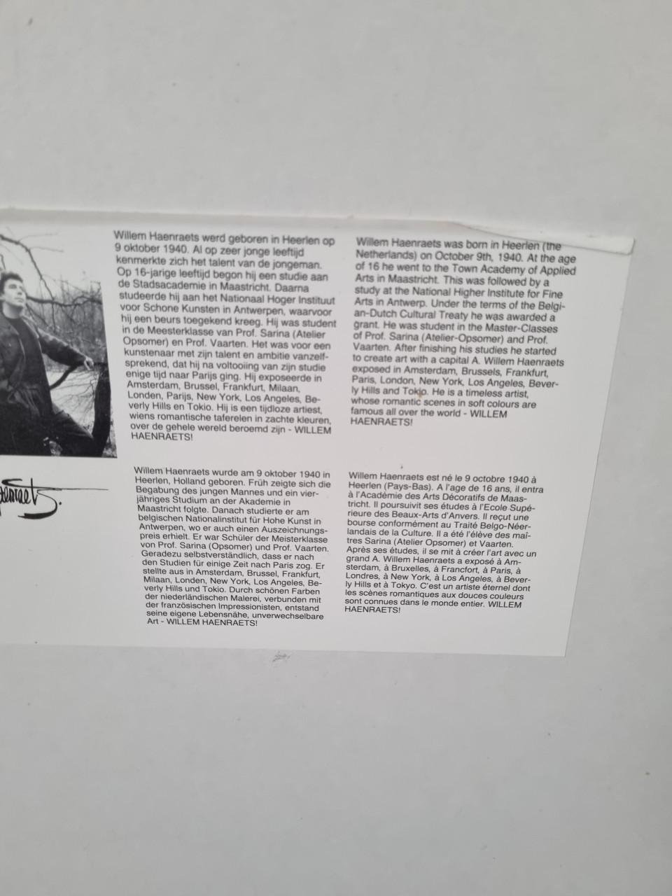 2 stuks schilderijen Willem Haenraets