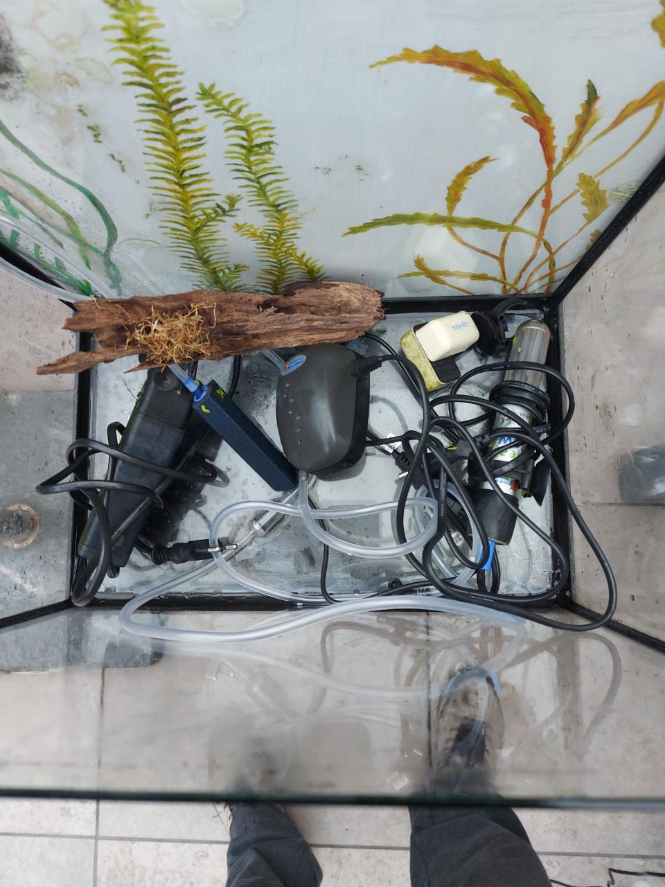 Aquarium