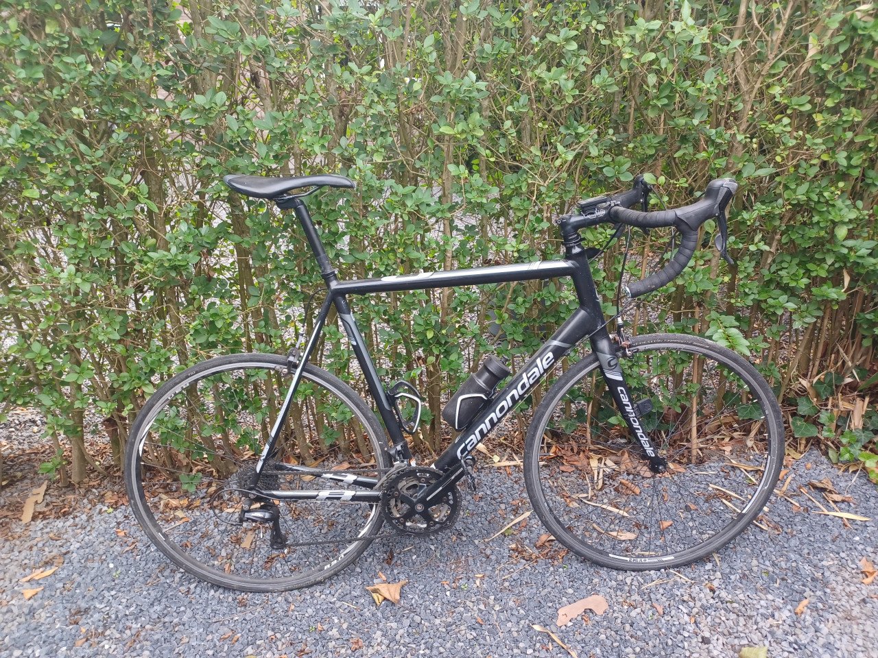 Cannondale Caad 8