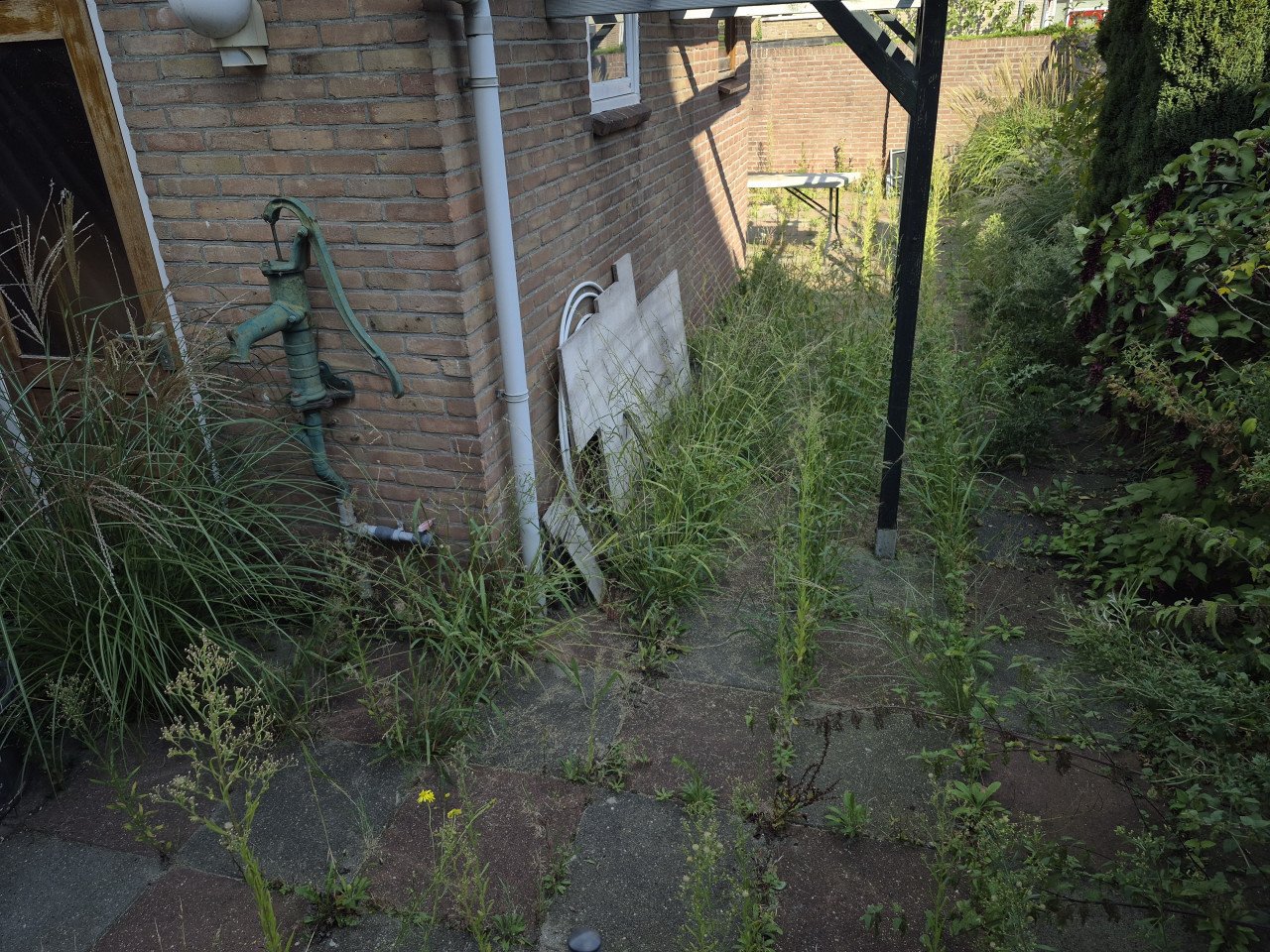 Betaalbare en Betrouwbare Tuinman nodig? Beschikbaar!!