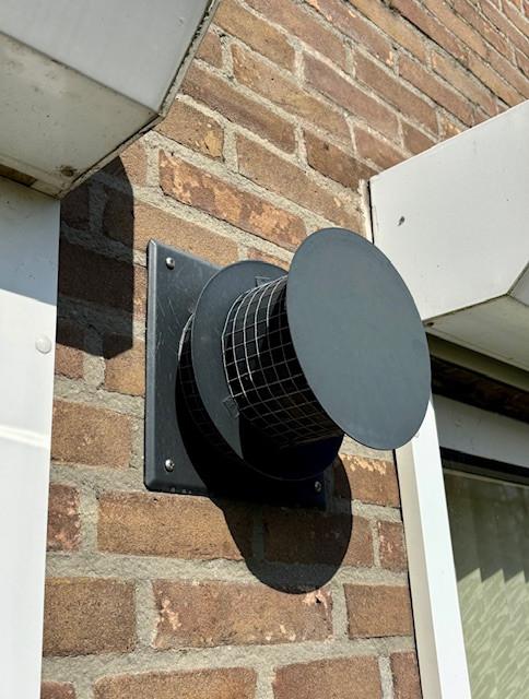 Gashaard Wanders Solea