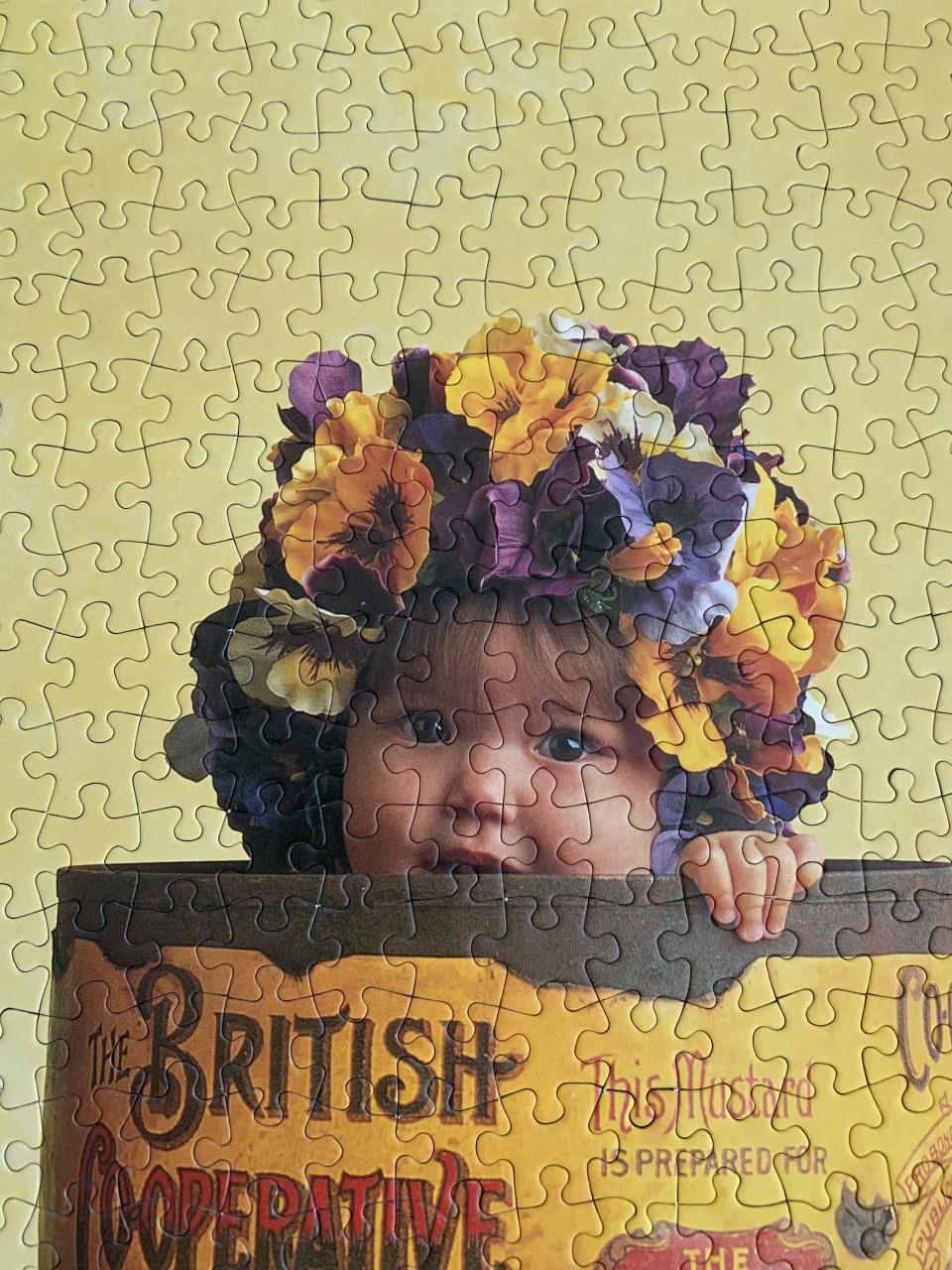 2 puzzels Anne Geddes 900 stukjes
