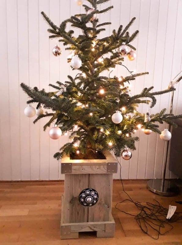 Zeeuwse knop Kerstboombak