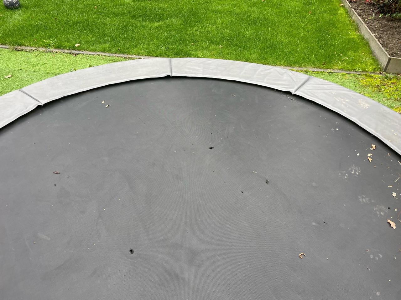 Trampoline