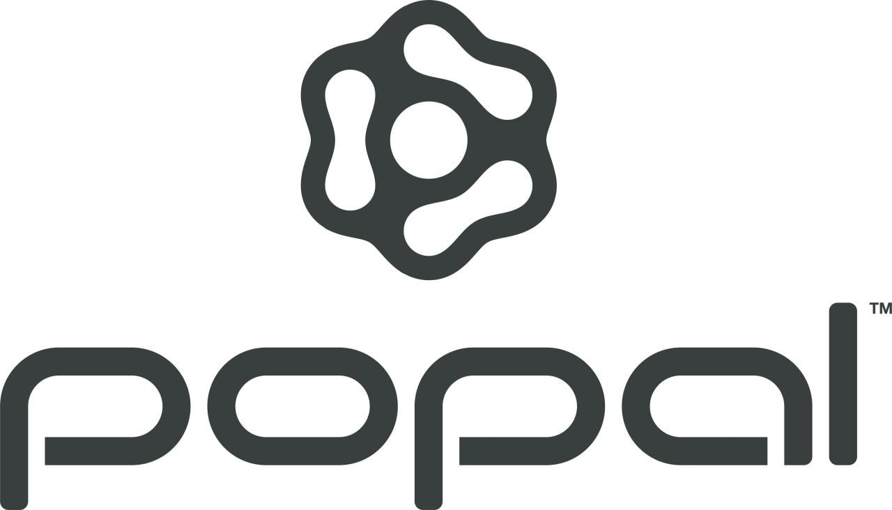 Nieuwe Popal Daily Dutch Prestige N7 RB Damesfiets 47cm 7 versnellingen