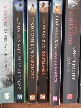 Boeken van Linda van Rijn