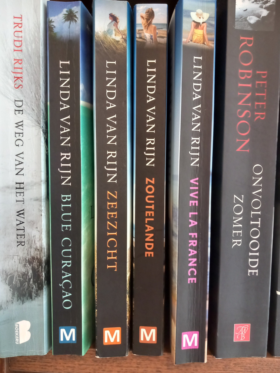 Boeken van Linda van Rijn