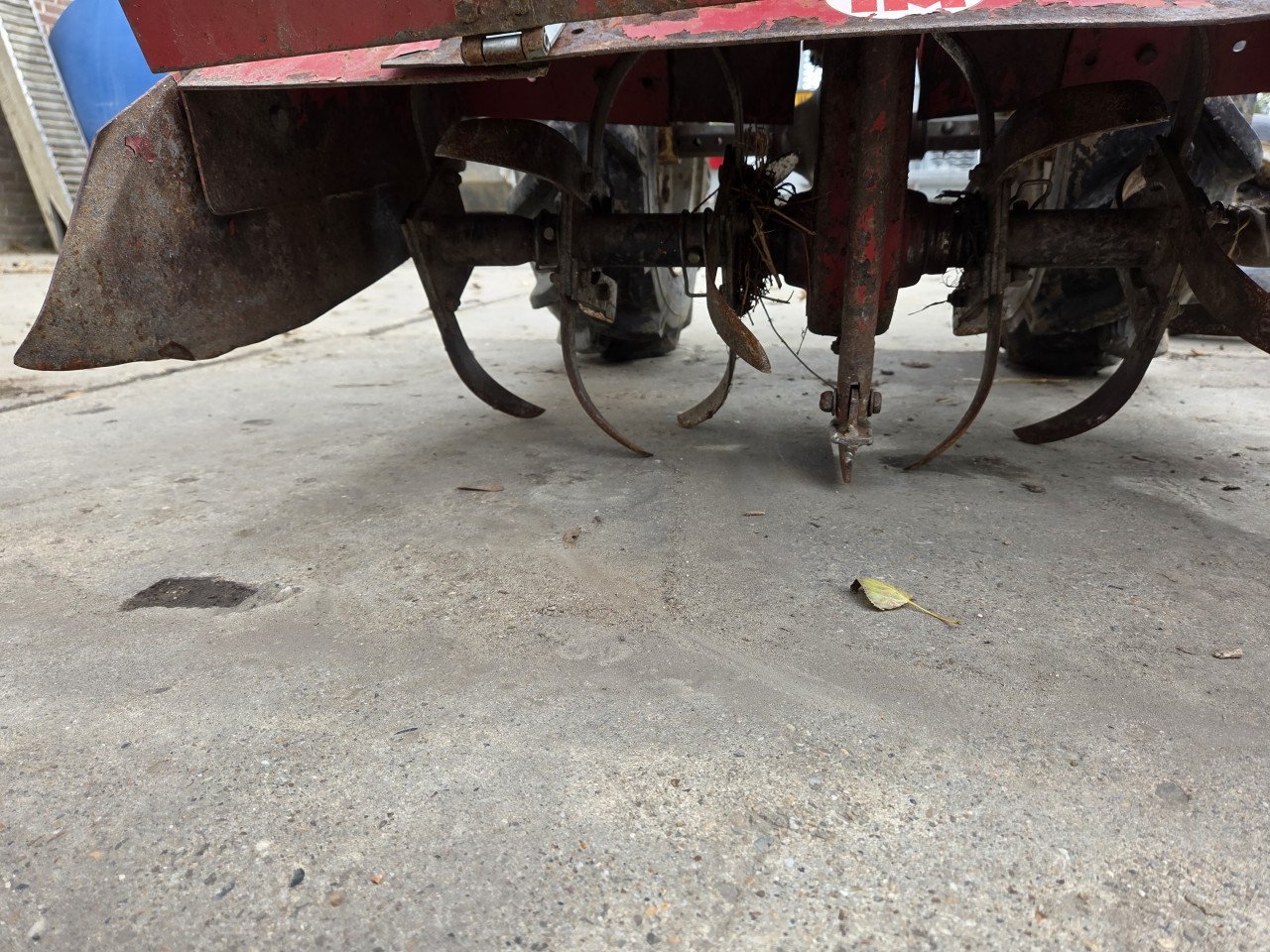 Tuinfrees honda