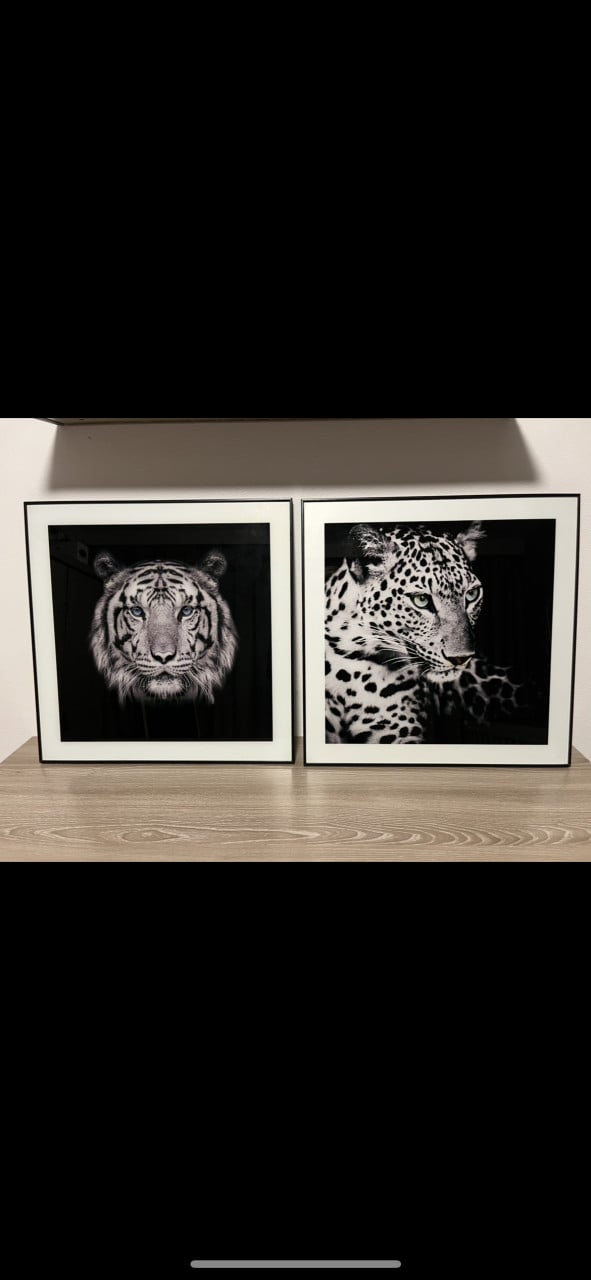 Decoratie