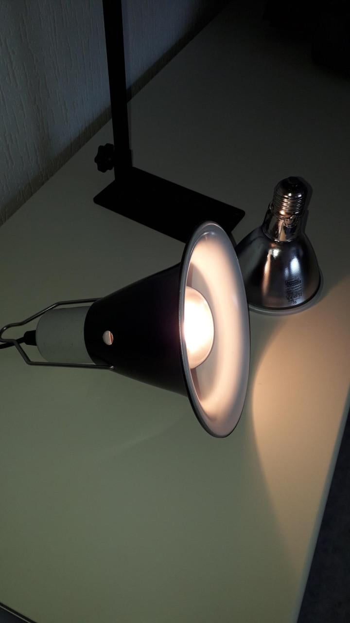 Warmtelamp met armatuur en warmtespot