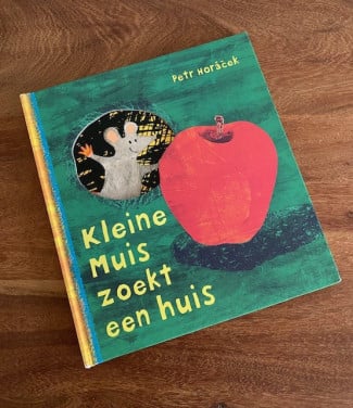 Kleine muis zoekt een huis | Petr Horacek