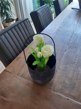 Landelijk potje met tulpen geen koeriersdiensten