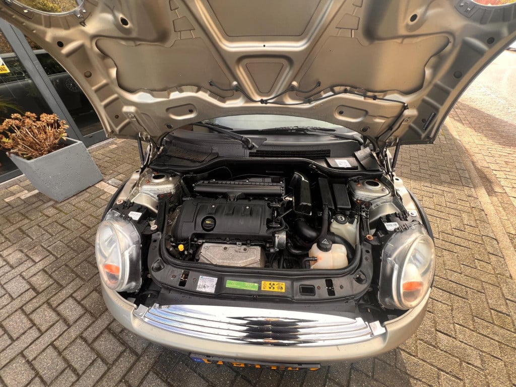 Mini One mini 1.4 pepper