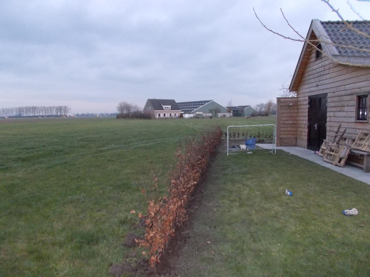 Zoekt u een goede Hovenier ?