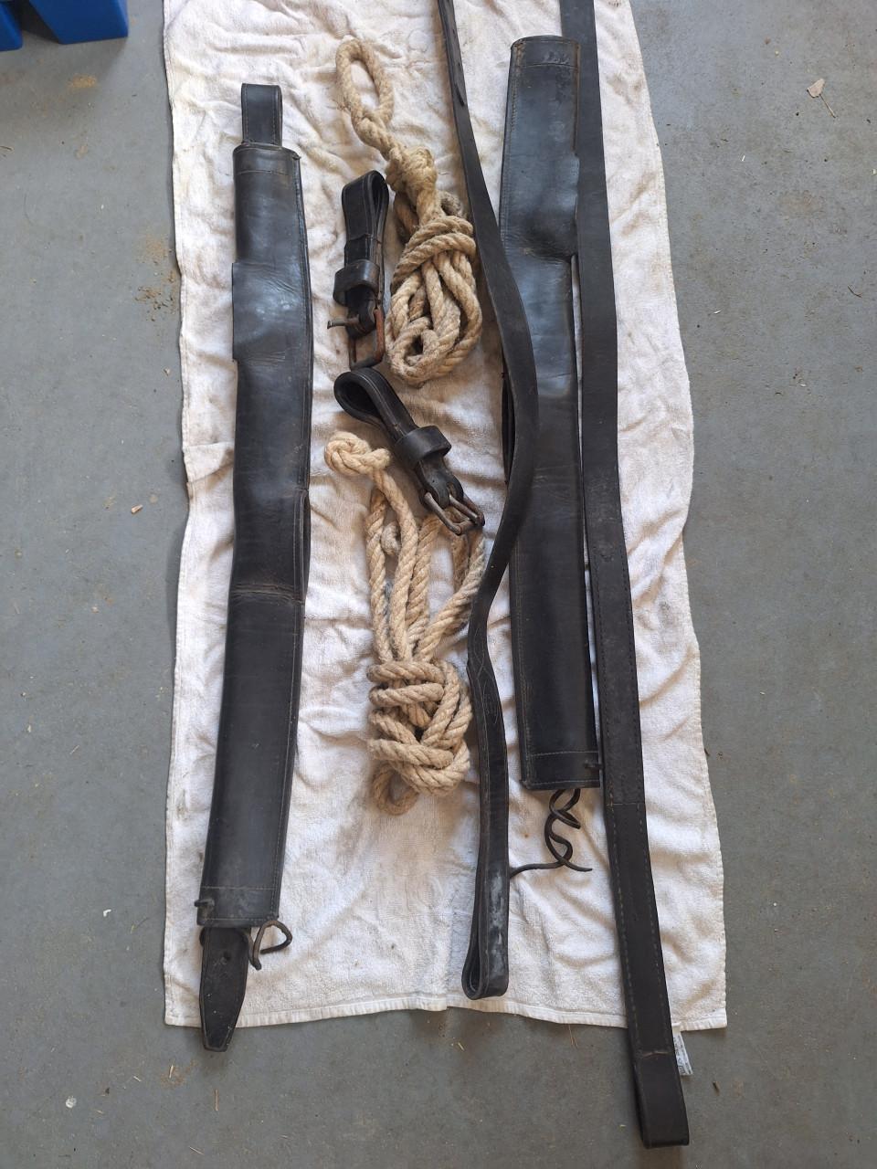 Gareel voor trekpaard.