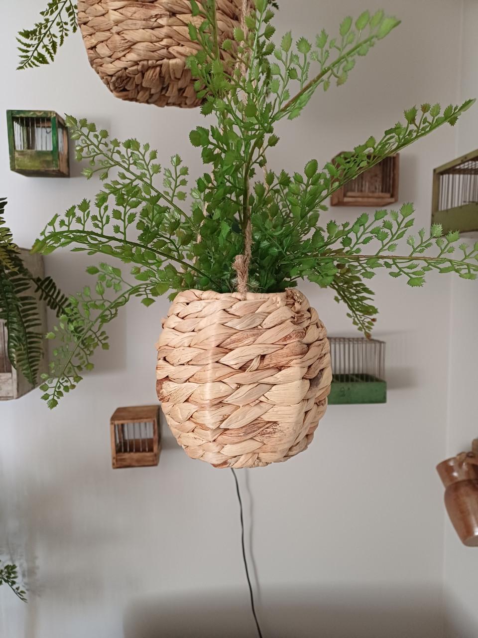 Plantenhanger waterhyachint nieuw