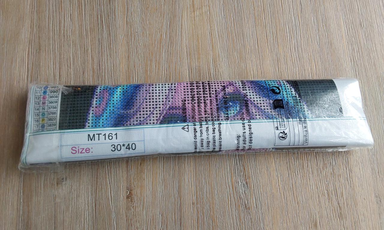 Diamond painting setje
