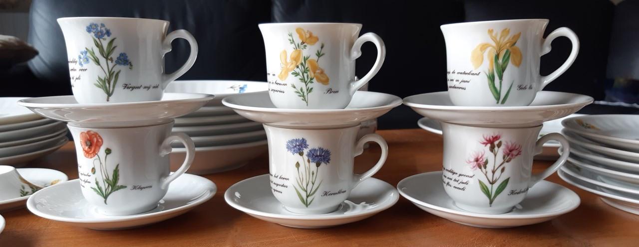 Marjolein Bastin servies wilde bloemen