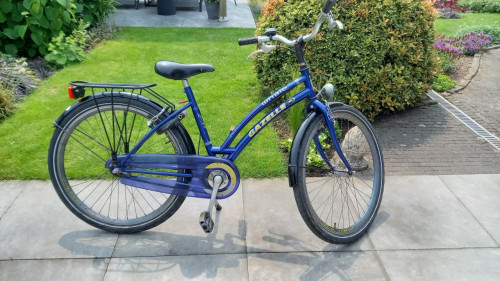 Gazelle whaĺe