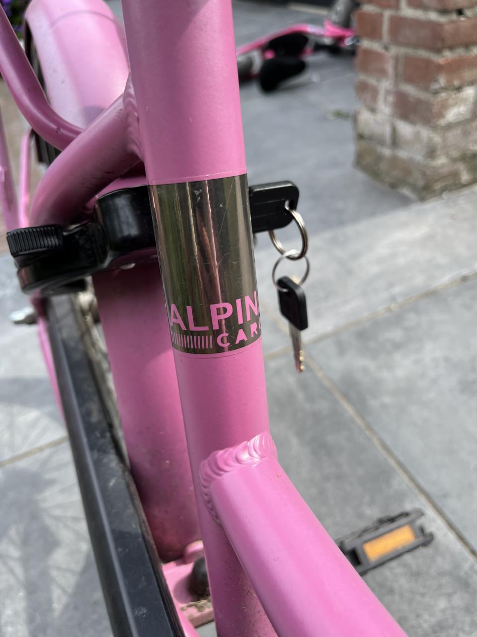 Alpina Cargo meisjesfiets 20 inch