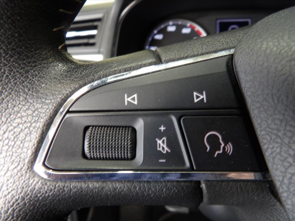 Seat Arona 1.0 tsi 115pk dsg-7 xcellence