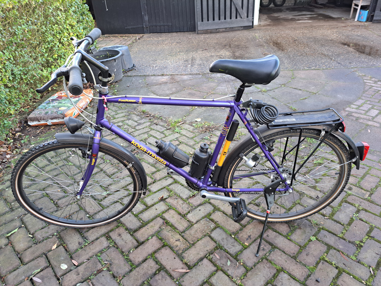 KOGA MYATA HERENFIETS