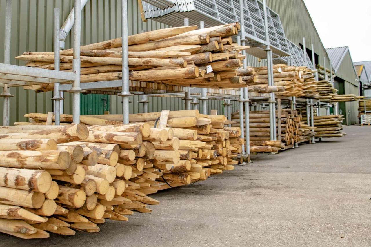 Bielzen, weide palen, frans kastanje hekwerk